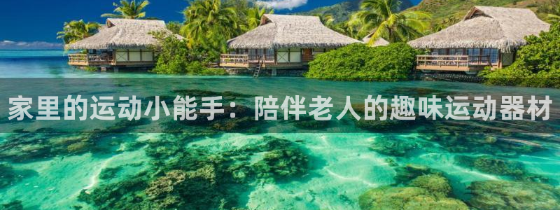 德国九游体育官方正版app集团:家里的运动小能手:陪伴老人的