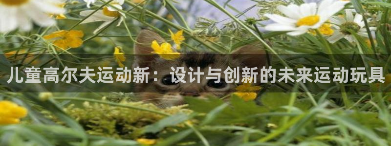 九游体育官网下载平台假的吗是真的吗吗:儿童高尔夫运动新:设计