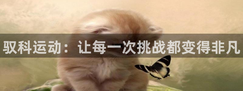 九游体育官网下载招商电话号码:驭科运动:让每一次挑战都变得非